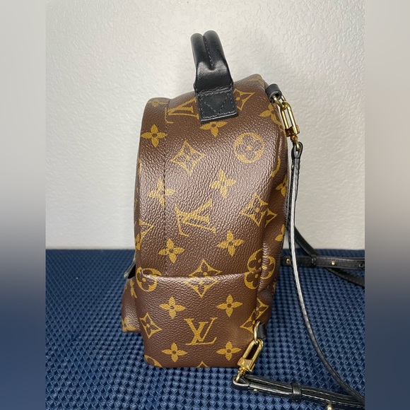 Louis Vuitton Palms Springs mini - Picture 5 of 15